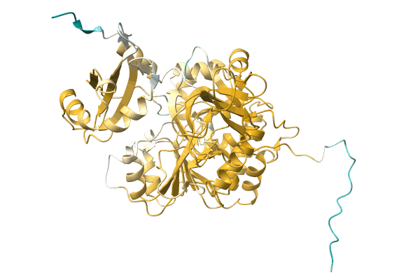 AF-A0A1H6XW48-F1 image