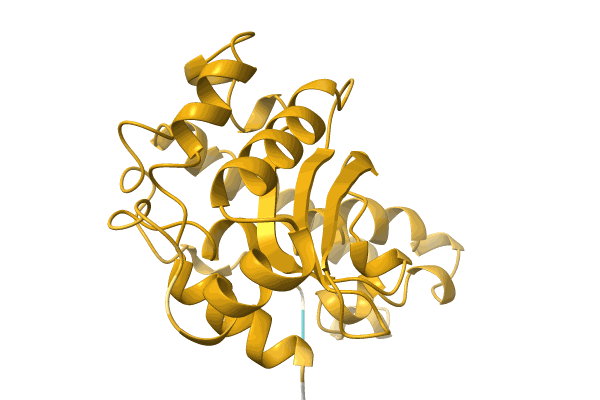 AF-A0A1H6Y3Y6-F1 image