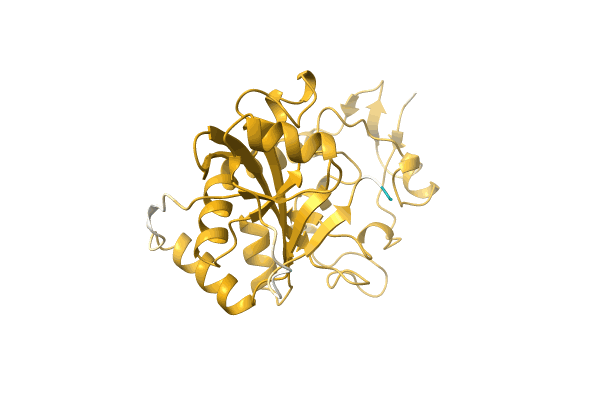 AF-A0A1H6Y473-F1 image