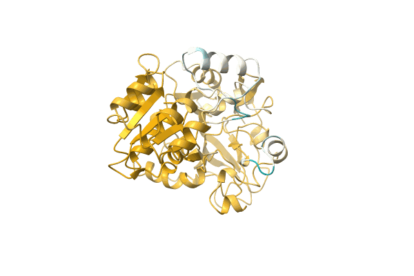 AF-A0A1H6Y5V7-F1 image