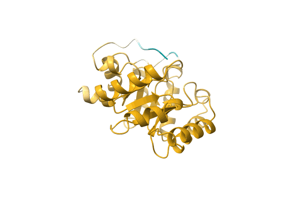 AF-A0A1H8PI01-F1 image