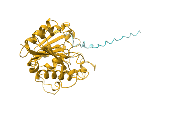 AF-A0A1H8Y129-F1 image