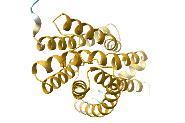 AF-A0A1H9BUX6-F1 image