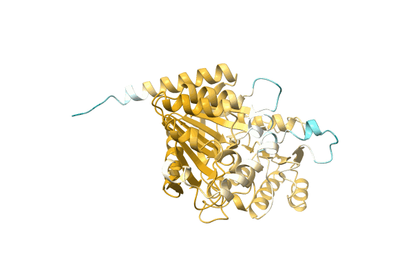 AF-A0A1H9C8G7-F1 image