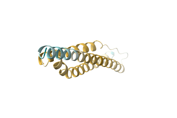 AF-A0A1H9C8K2-F1 image