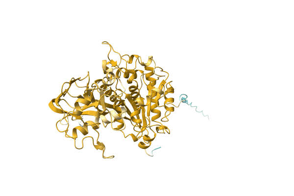 AF-A0A1H9CUT7-F1 image