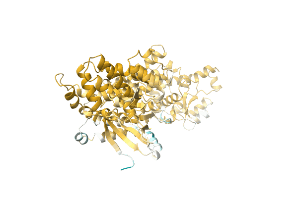 AF-A0A1H9CV25-F1 image