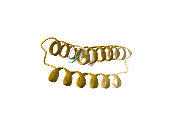 AF-A0A1H9CV42-F1 image