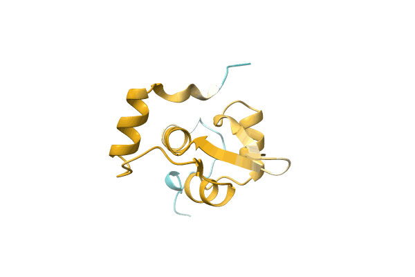 AF-A0A1H9CV96-F1 image