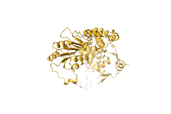 AF-A0A1H9CVU9-F1 image