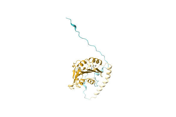 AF-A0A1H9CVY2-F1 image