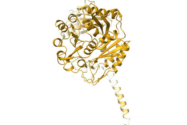 AF-A0A1H9DA04-F1 image