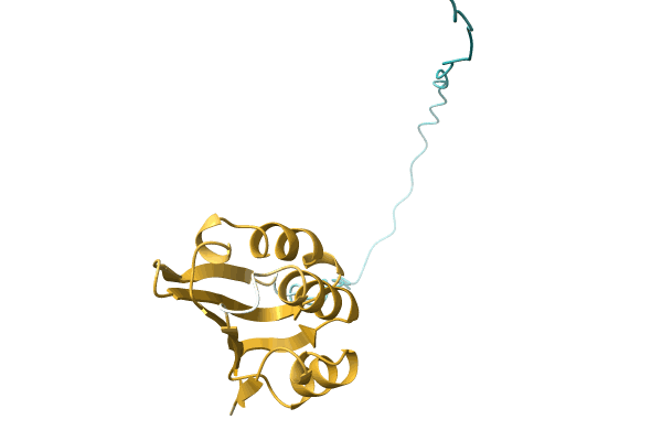 AF-A0A1H9DI92-F1 image