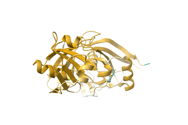 AF-A0A1H9DIM9-F1 image