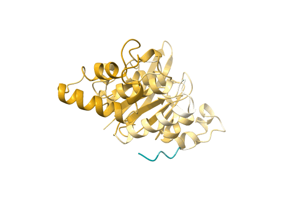 AF-A0A1H9DIY7-F1 image