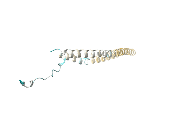 AF-A0A1H9DJ70-F1 image