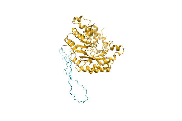 AF-A0A1H9DJ85-F1 image