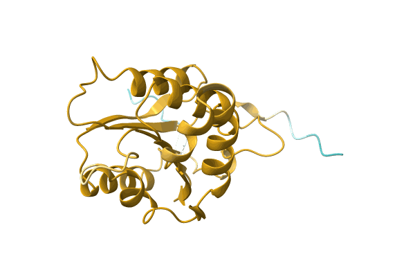 AF-A0A1H9DM26-F1 image