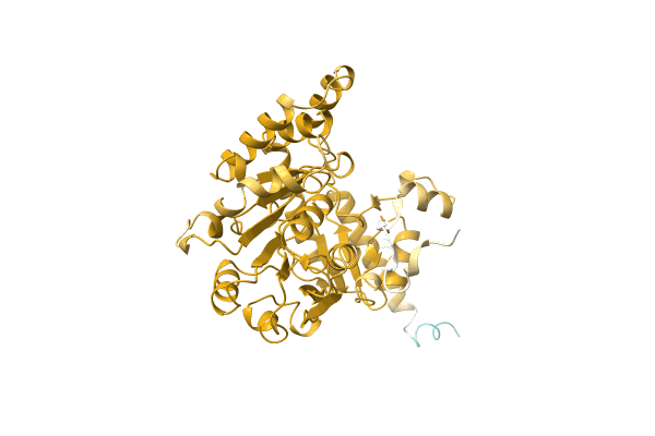 AF-A0A1I0DEI8-F1 image