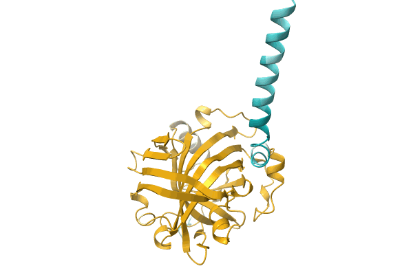 AF-A0A1I1SL71-F1 image