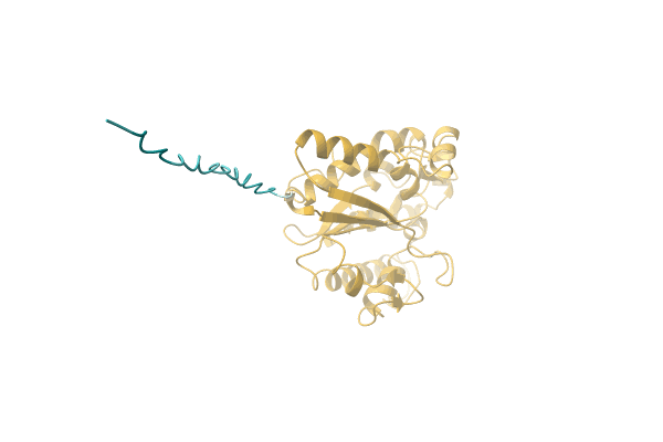 AF-A0A1I1V9N6-F1 image