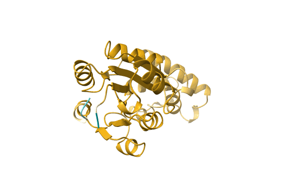 AF-A0A1I3Y2H9-F1 image