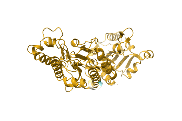 AF-A0A1I4DIU7-F1 image