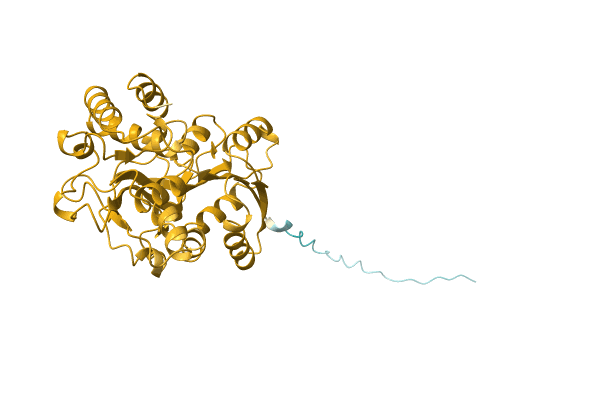 AF-A0A1I4DIX7-F1 image