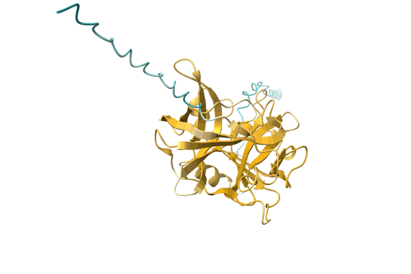 AF-A0A1I4DJ26-F1 image