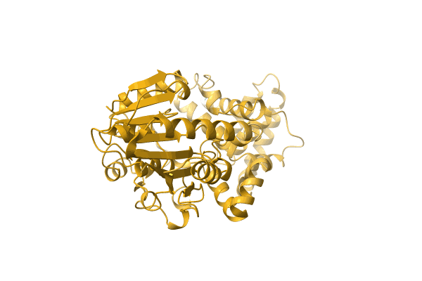 AF-A0A1I4DJA2-F1 image