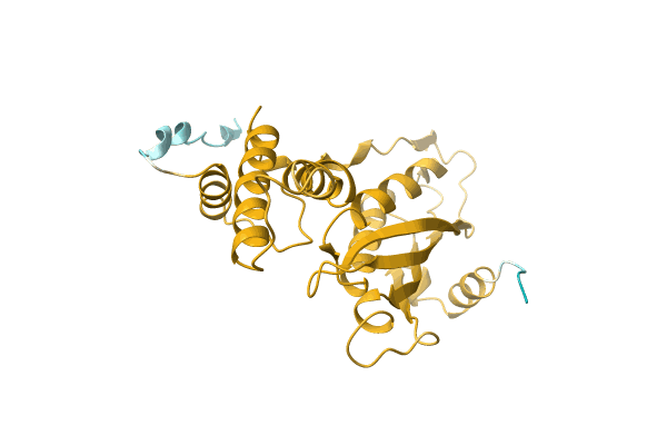 AF-A0A1I4DJL1-F1 image