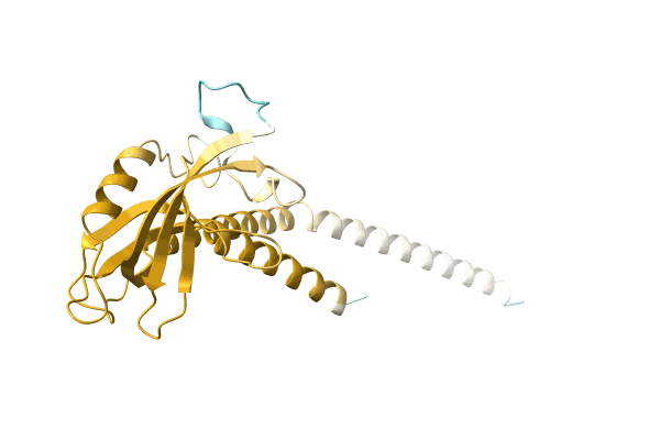 AF-A0A1I4DJV4-F1 image