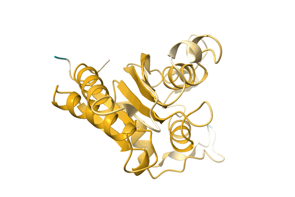 AF-A0A1I4DJW7-F1 image