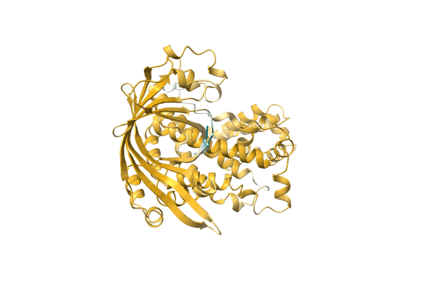 AF-A0A1I4DK51-F1 image