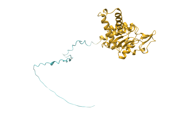 AF-A0A1I4DKD4-F1 image