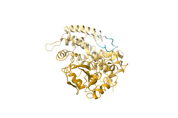 AF-A0A1I4DKD6-F1 image