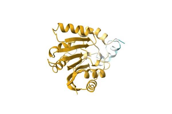 AF-A0A1I4DL57-F1 image