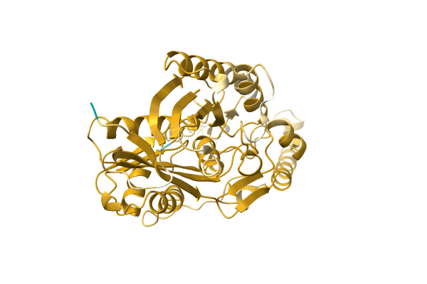 AF-A0A1I4DLA5-F1 image