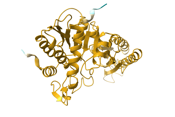 AF-A0A1I4DLD0-F1 image