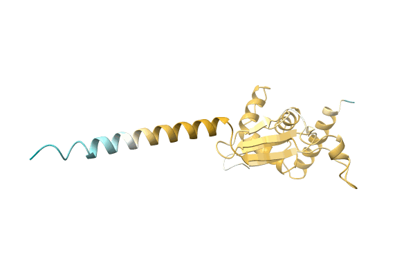 AF-A0A1I4DM36-F1 image