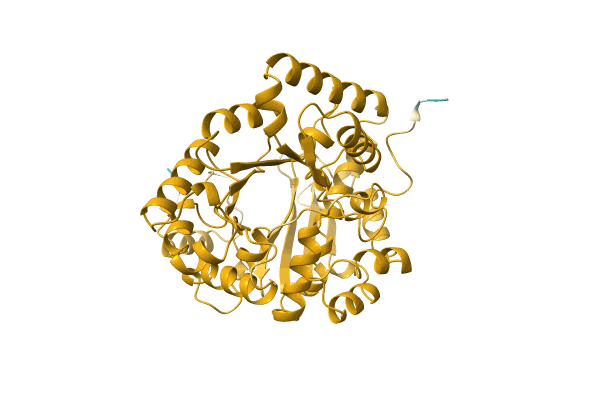 AF-A0A1I4DM40-F1 image