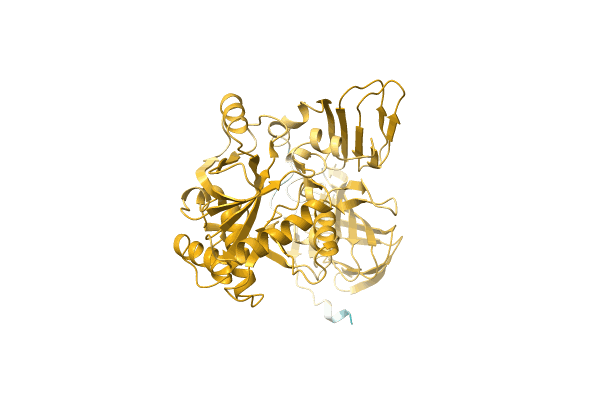 AF-A0A1I4DM75-F1 image