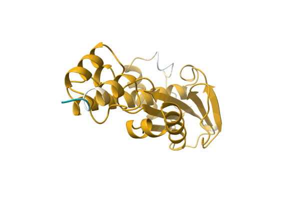 AF-A0A1I4DM77-F1 image