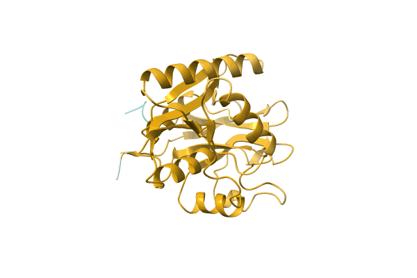 AF-A0A1I4DMK9-F1 image