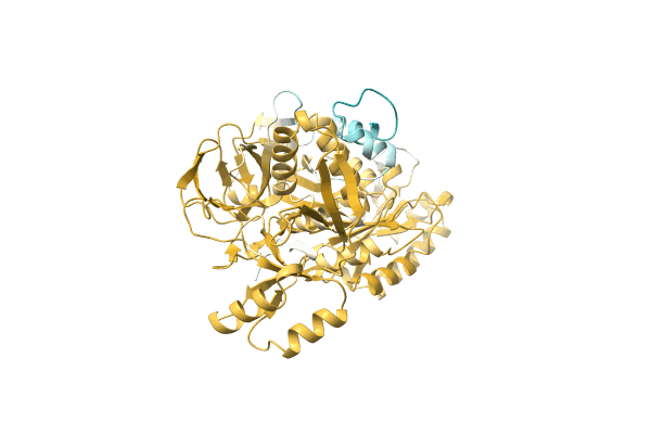 AF-A0A1I4DN25-F1 image