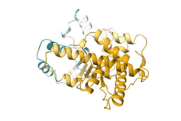 AF-A0A1I4DN91-F1 image