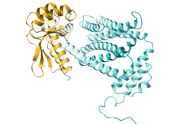 AF-A0A1I4DRW2-F1 image