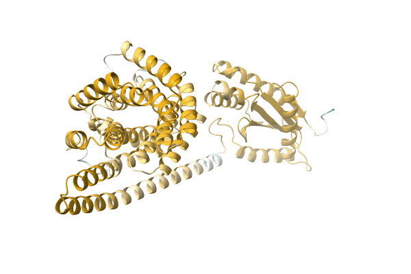 AF-A0A1I4DRX8-F1 image