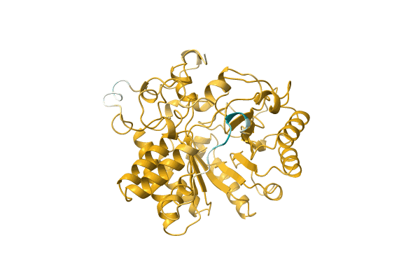 AF-A0A1I5E523-F1 image