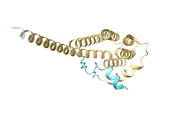 AF-A0A1I6V9E5-F1 image